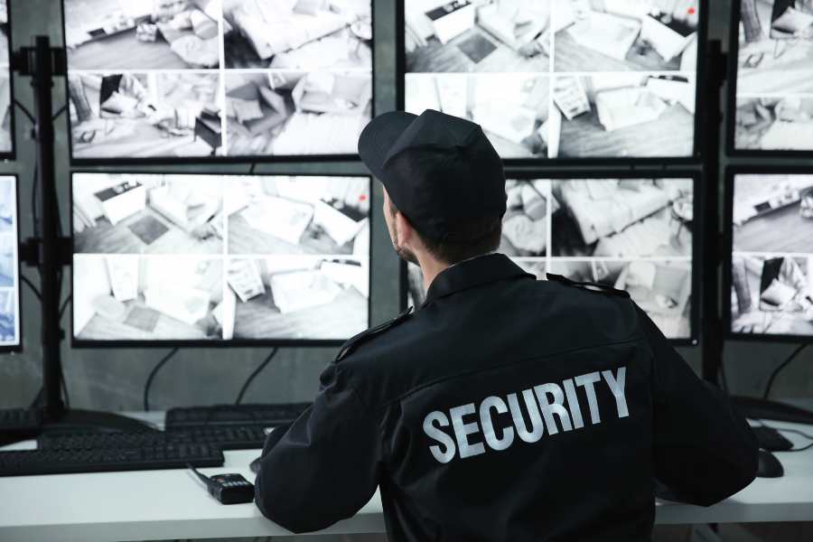 Importance of Private Security